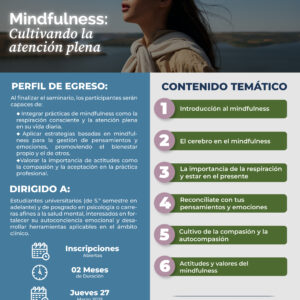 Seminario Online: Mindfulness Cultivando la Atención Plena