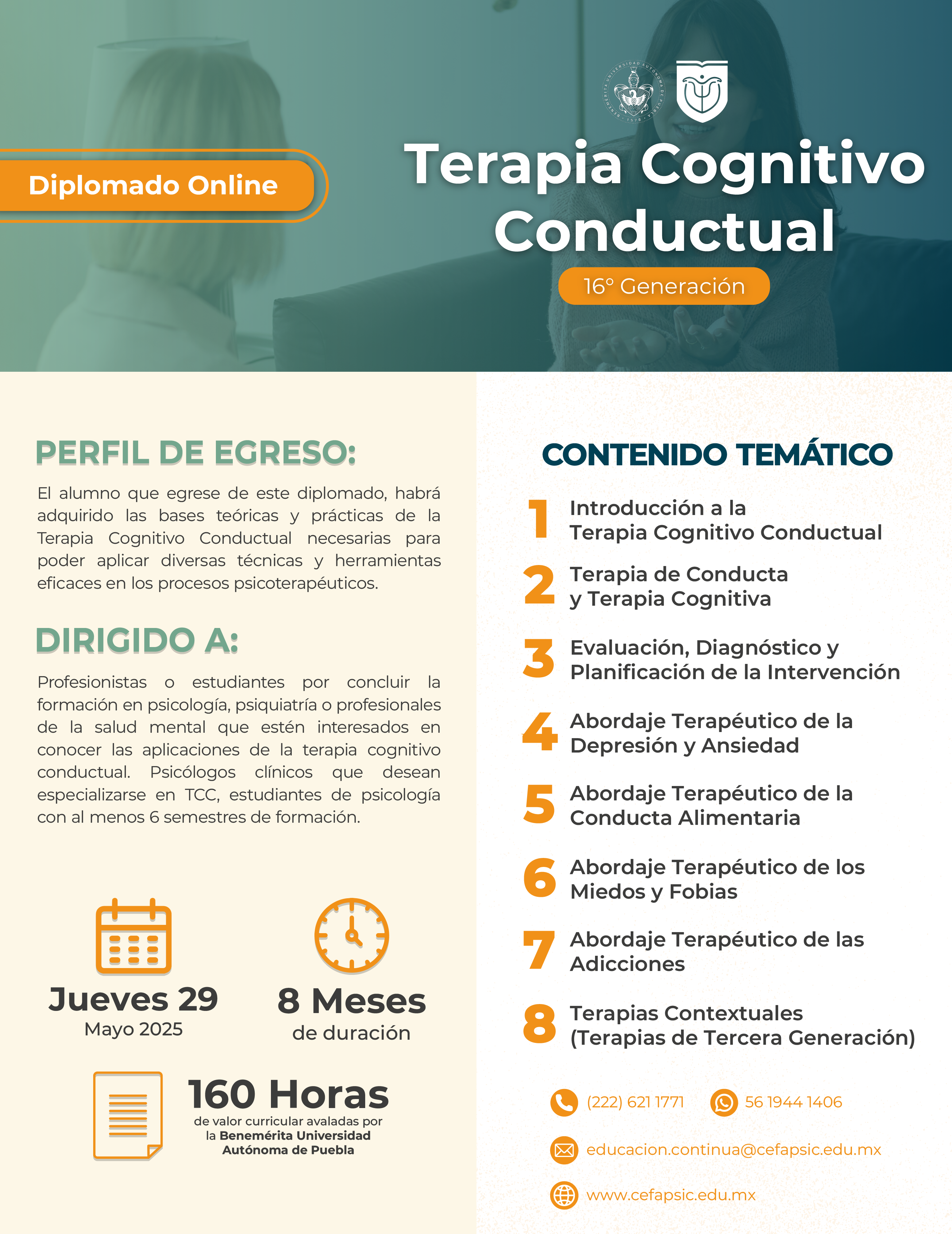 Diplomado Online: Terapia Cognitivo Conductual G16