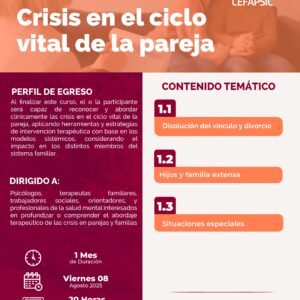 Curso Online: Crisis en el Ciclo Vital de la Pareja