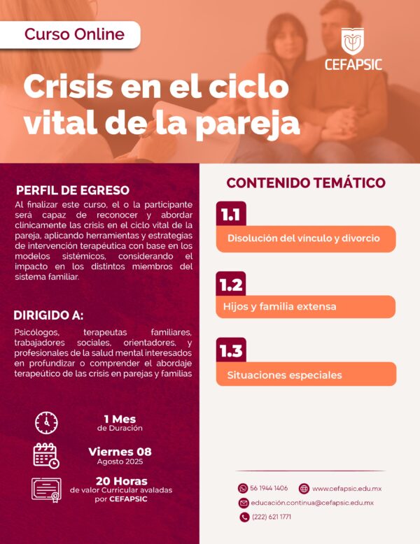 Curso Online: Crisis en el Ciclo Vital de la Pareja
