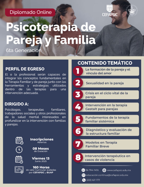 Diplomado Online: Psicoterapia de Pareja y Familia G6