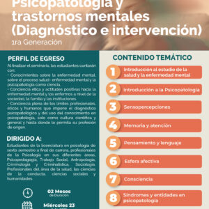 Seminario Online: Psicopatología y trastornos mentales (Diagnóstico e intervención) G1