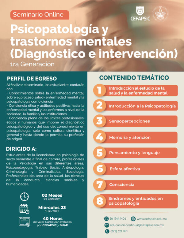 Seminario Online: Psicopatología y trastornos mentales (Diagnóstico e intervención) G1