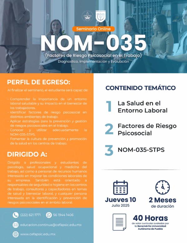Seminario Online: NOM-035 (Factores de Riesgo Psicosocial en el Trabajo) Diagnóstico, Implementación y Evaluación