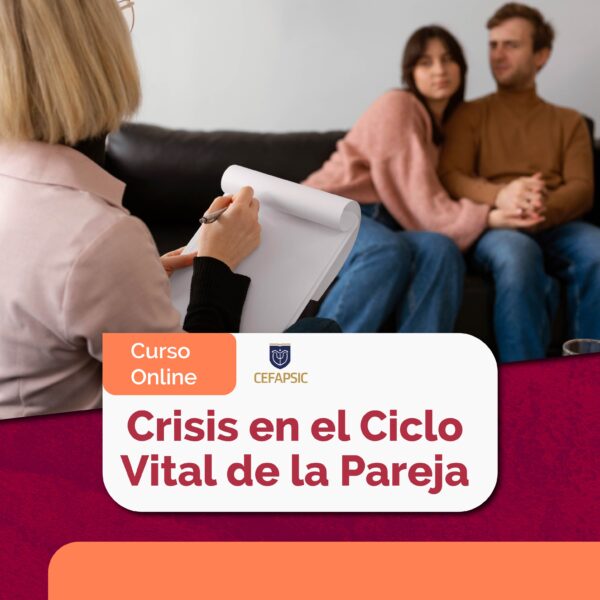 Curso Online Crisis en el Ciclo Vital de la Pareja