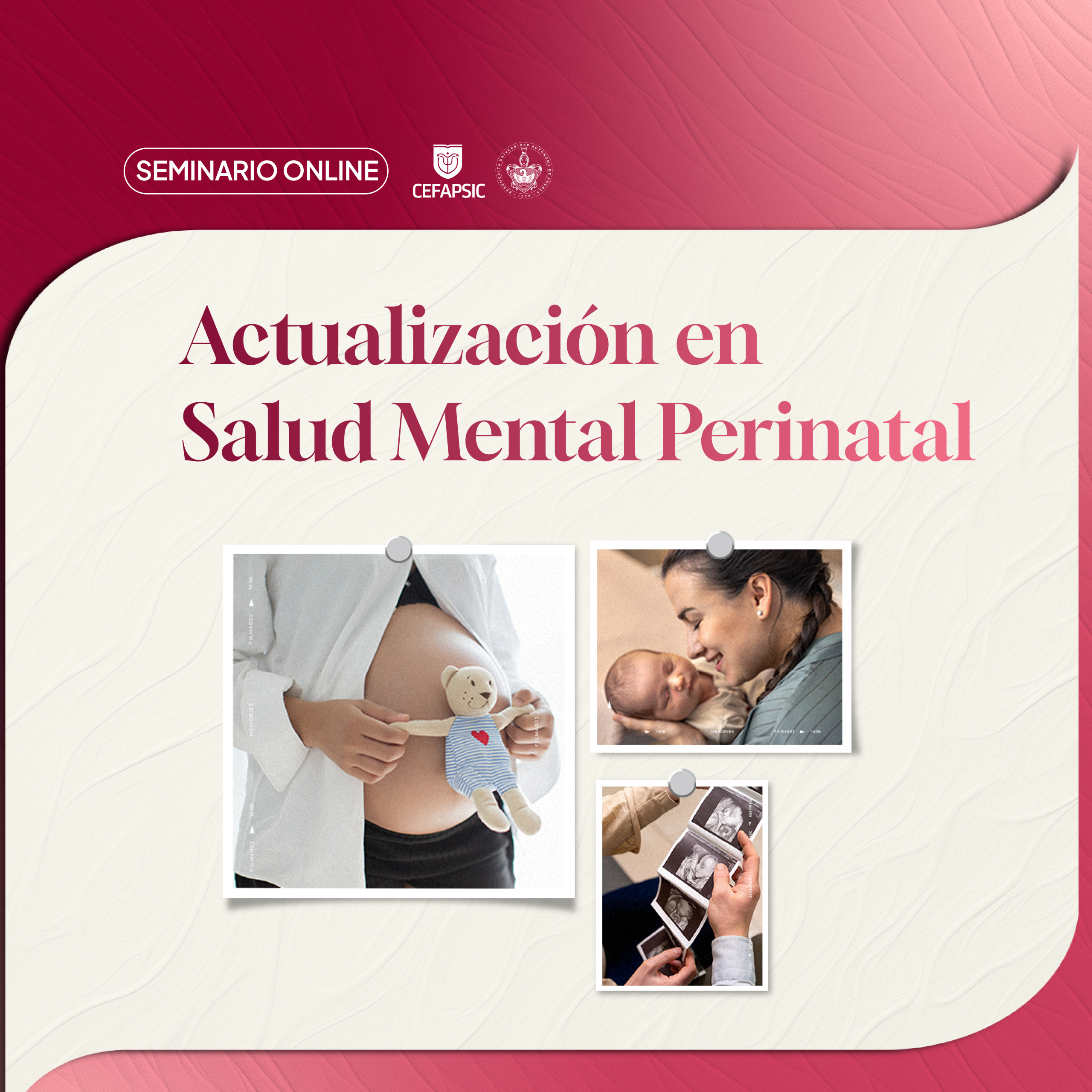 Seminario Online en Actualización en Salud Mental Perinatal