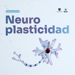 Diplomado Online en Neuroplasticidad
